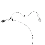Resim HYPERBOLA:PEND PAVE WHITE/RHS