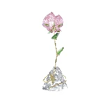 Resim FLORERE:ROSE