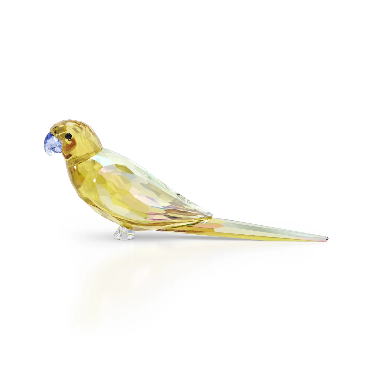 Resim JUNGLE BEATS:YELLOW PARAKEET