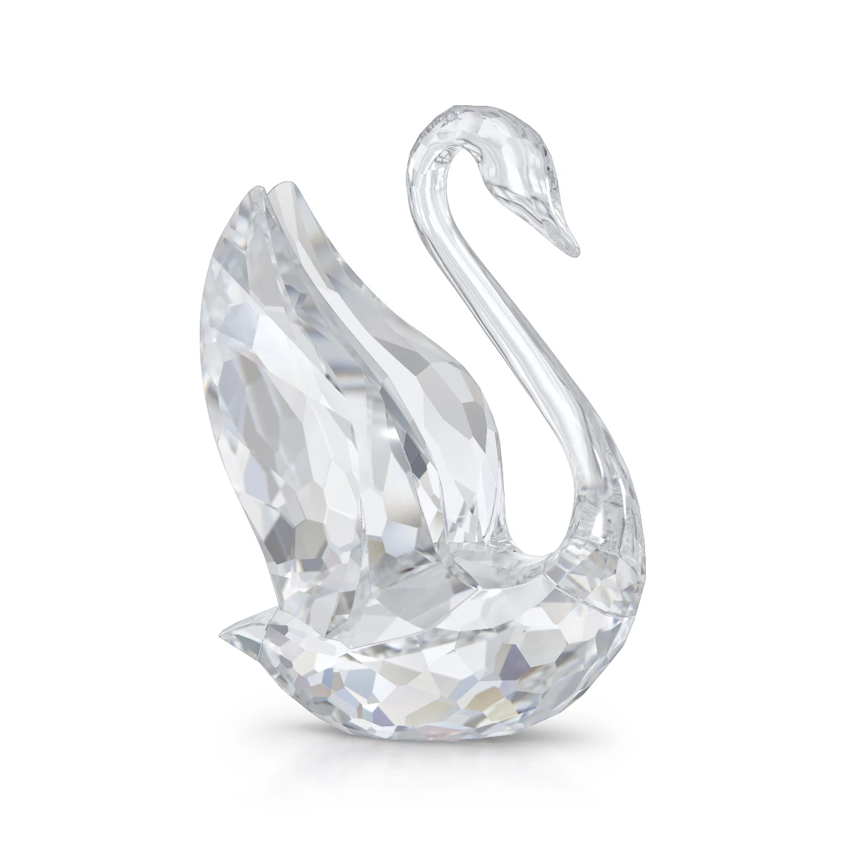 Resim SIGNUM: SWAN L