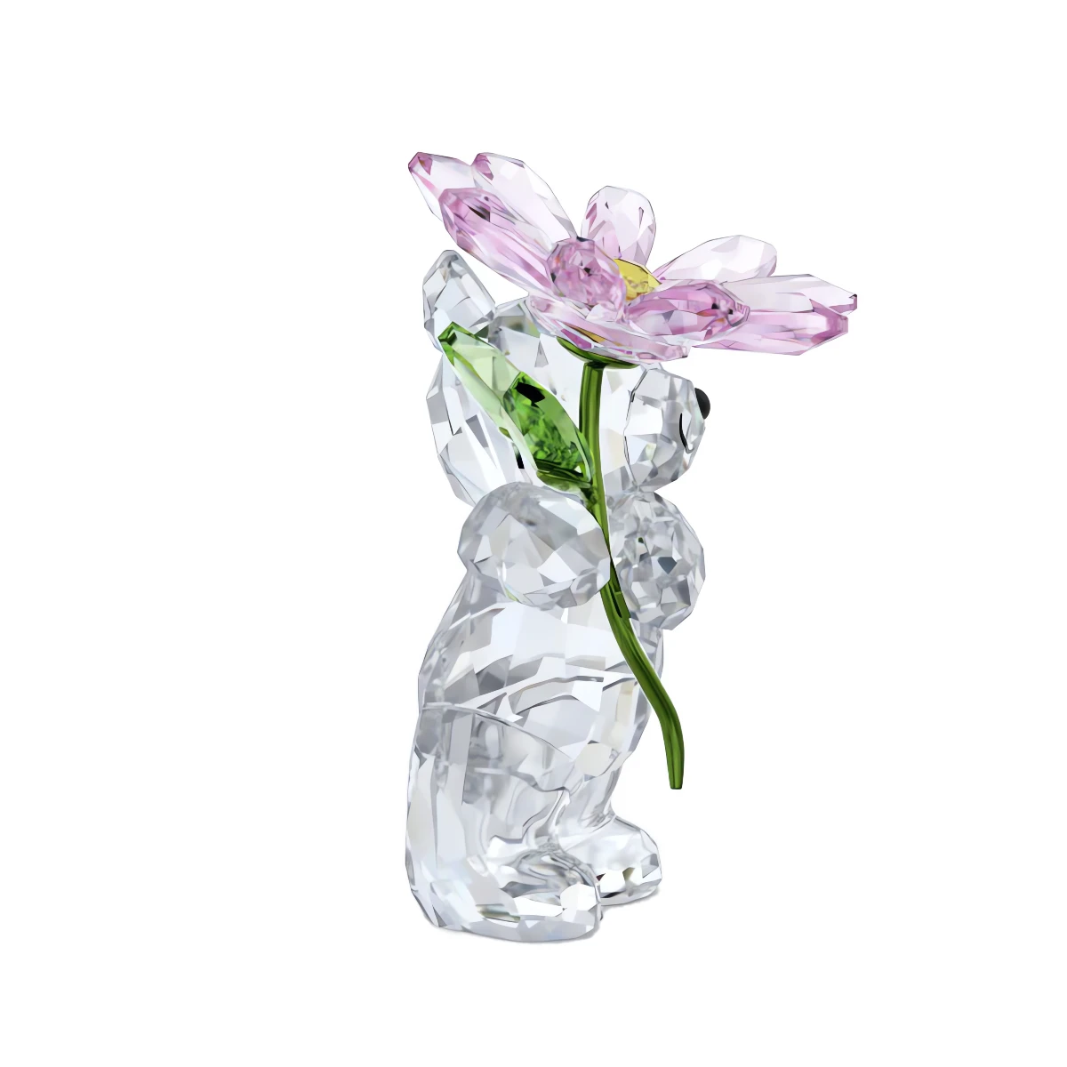 Resim KRIS BEAR:A DAISY FOR YOU