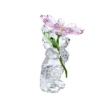 Resim KRIS BEAR:A DAISY FOR YOU