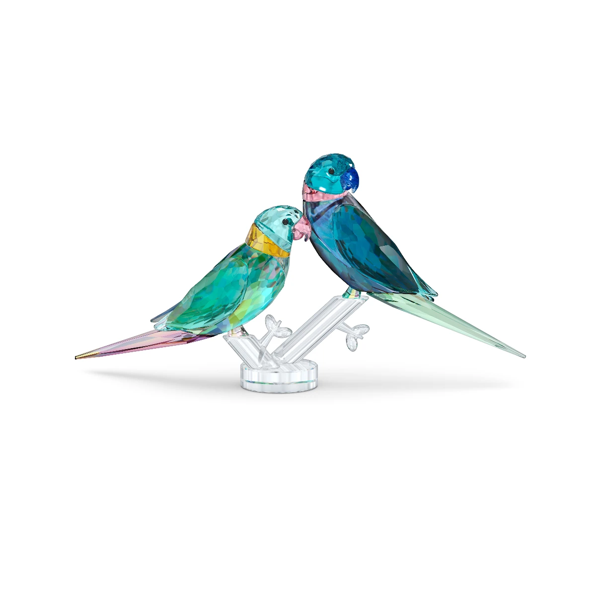 Resim JUNGLE BEATS:PARAKEET COUPLE