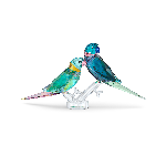 Resim JUNGLE BEATS:PARAKEET COUPLE