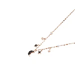 Resim SYMBOLICA:NECKLACE MOON JET/CRY/ROS