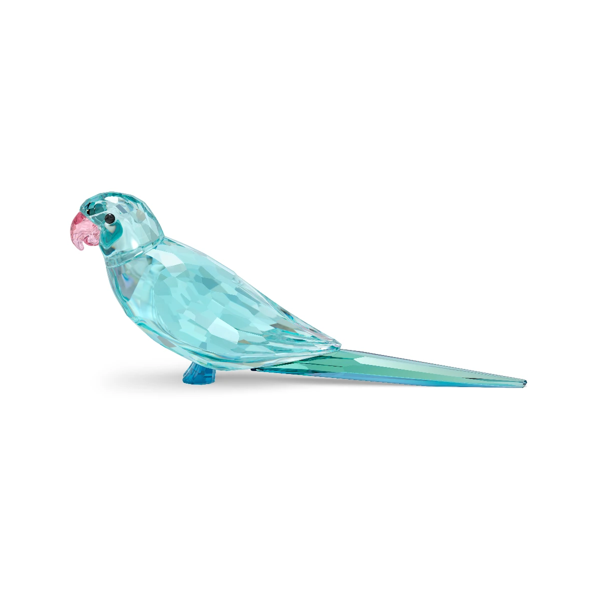 Resim JUNGLE BEATS:BLUE PARAKEET