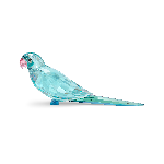 Resim JUNGLE BEATS:BLUE PARAKEET