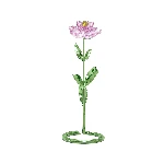 Resim FLORERE:PEONY