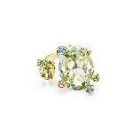 Resim GEMA:RING MUL/GOS 55