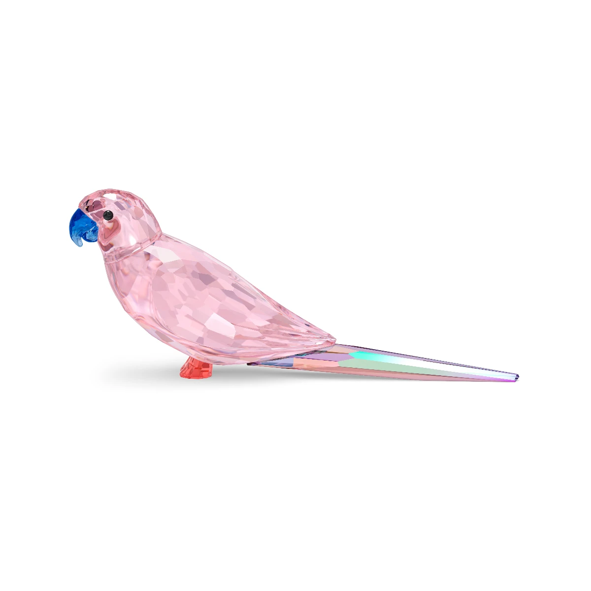 Resim JUNGLE BEATS:PINK PARAKEET