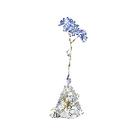 Resim FLORERE:FORGET-ME-NOT