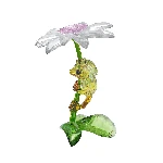 Resim IDYLLIA:FROGS AND FLOWER
