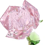 Resim FLORERE:ROSE