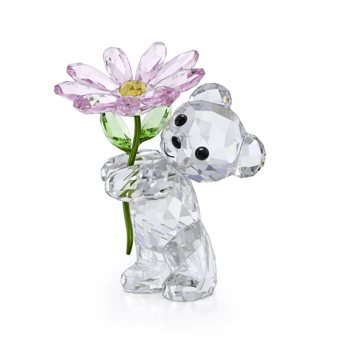 Resim KRIS BEAR:A DAISY FOR YOU