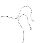 Resim SS TE MATRIX:BRACELET RND CZSAP/RHS M