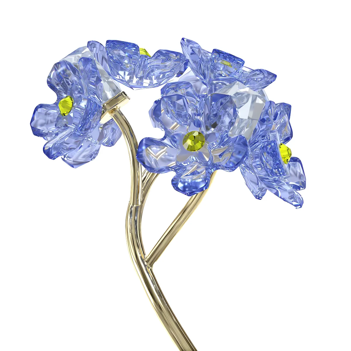 Resim FLORERE:FORGET-ME-NOT