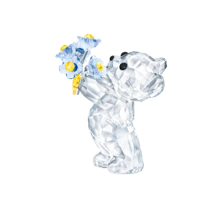 Resim KRIS BEAR:FORGET-ME-NOT