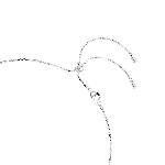 Resim CONSTELLA:NECKLACE BAR WHITE/RHS