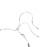 Resim MATRIX:CHOKER L WHITE/RHS