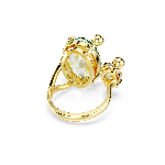 Resim GEMA:RING MUL/GOS 55