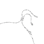 Resim MATRIX:CHOKER WHITE/RHS