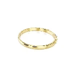 Resim NUMINA:BANGLE S CRY/GOS M