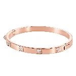 Resim DEXTERA:BANGLE T CRY/PRO M
