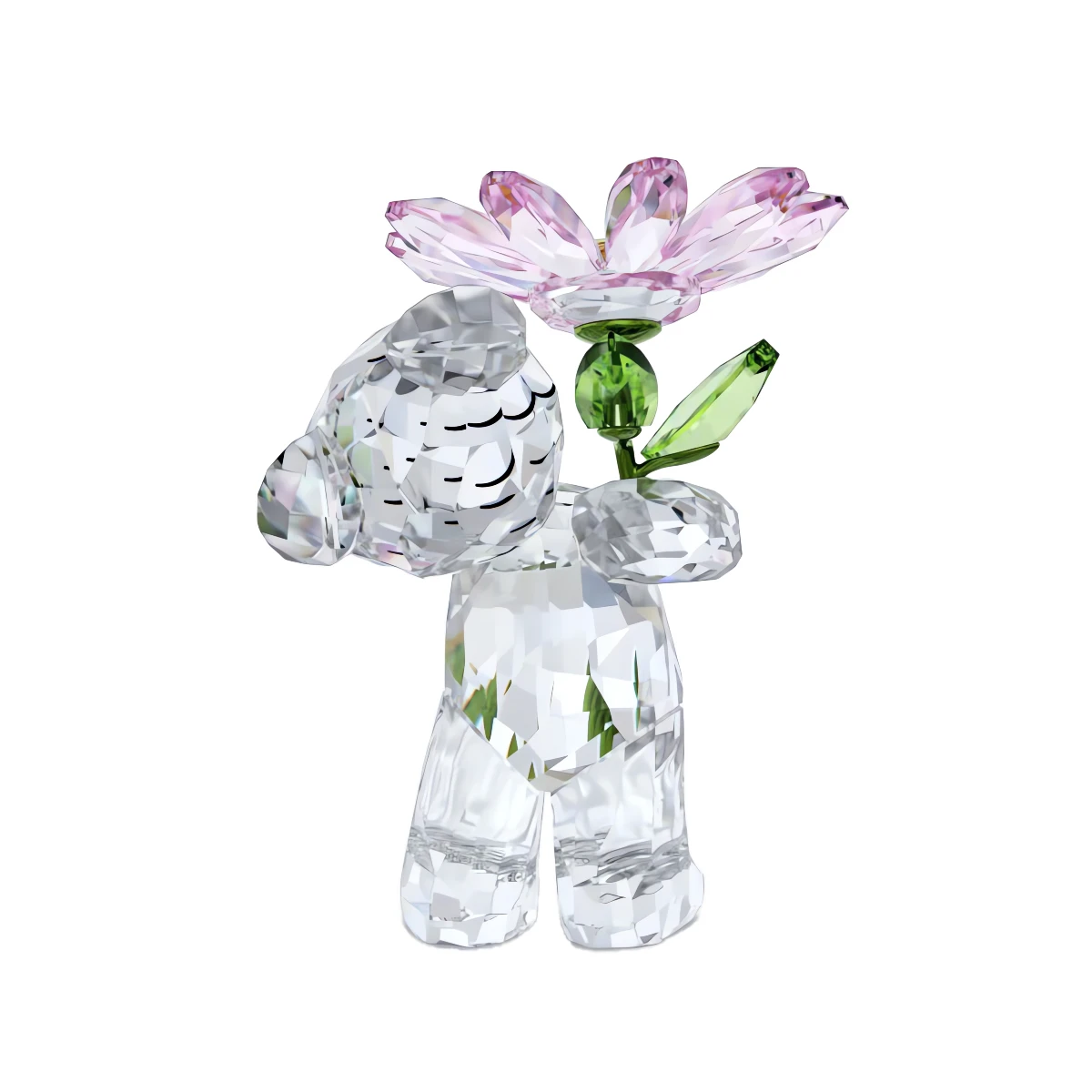 Resim KRIS BEAR:A DAISY FOR YOU