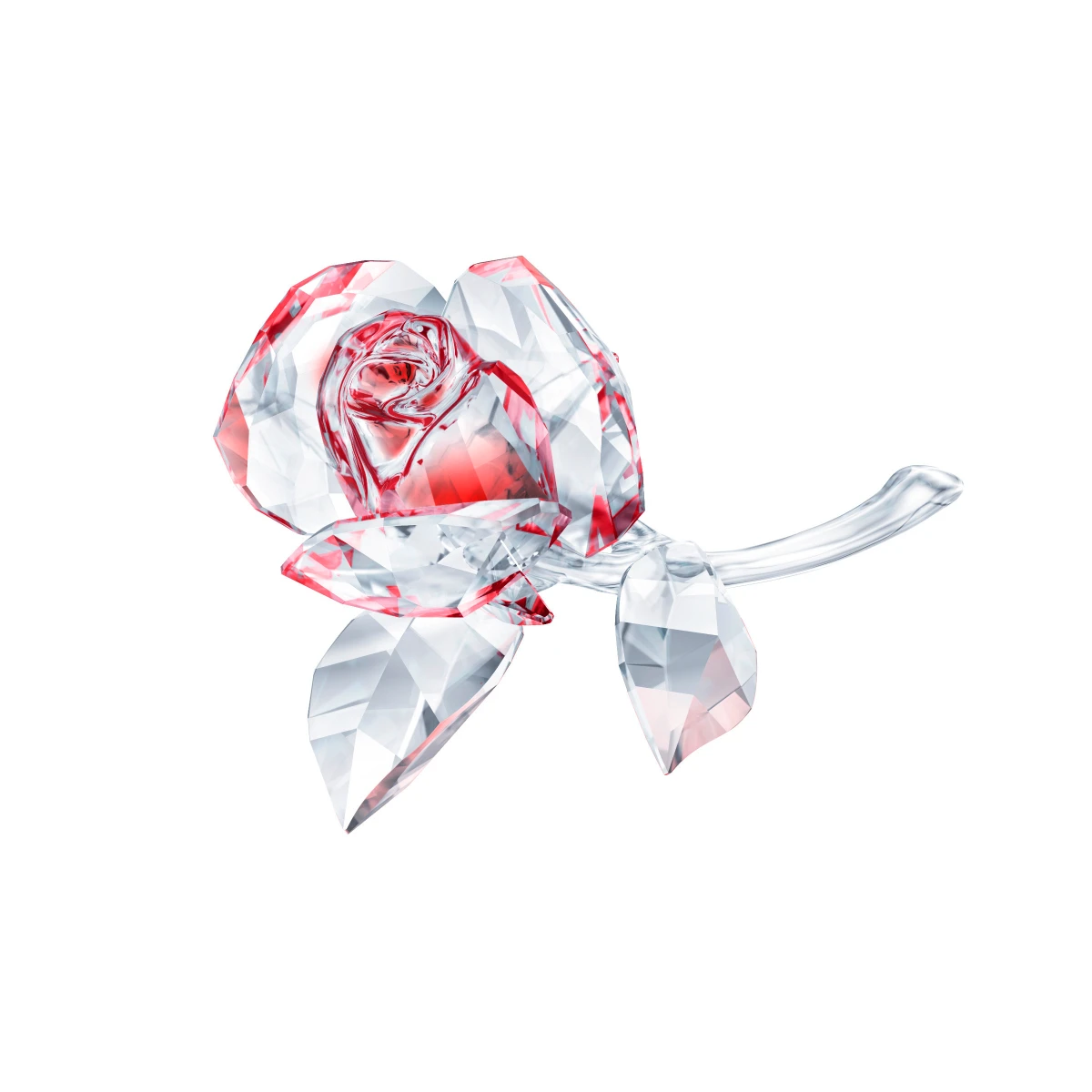 Resim IN THE SECRET GARDEN:BLOSSOMING ROSE RED