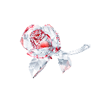 Resim IN THE SECRET GARDEN:BLOSSOMING ROSE RED