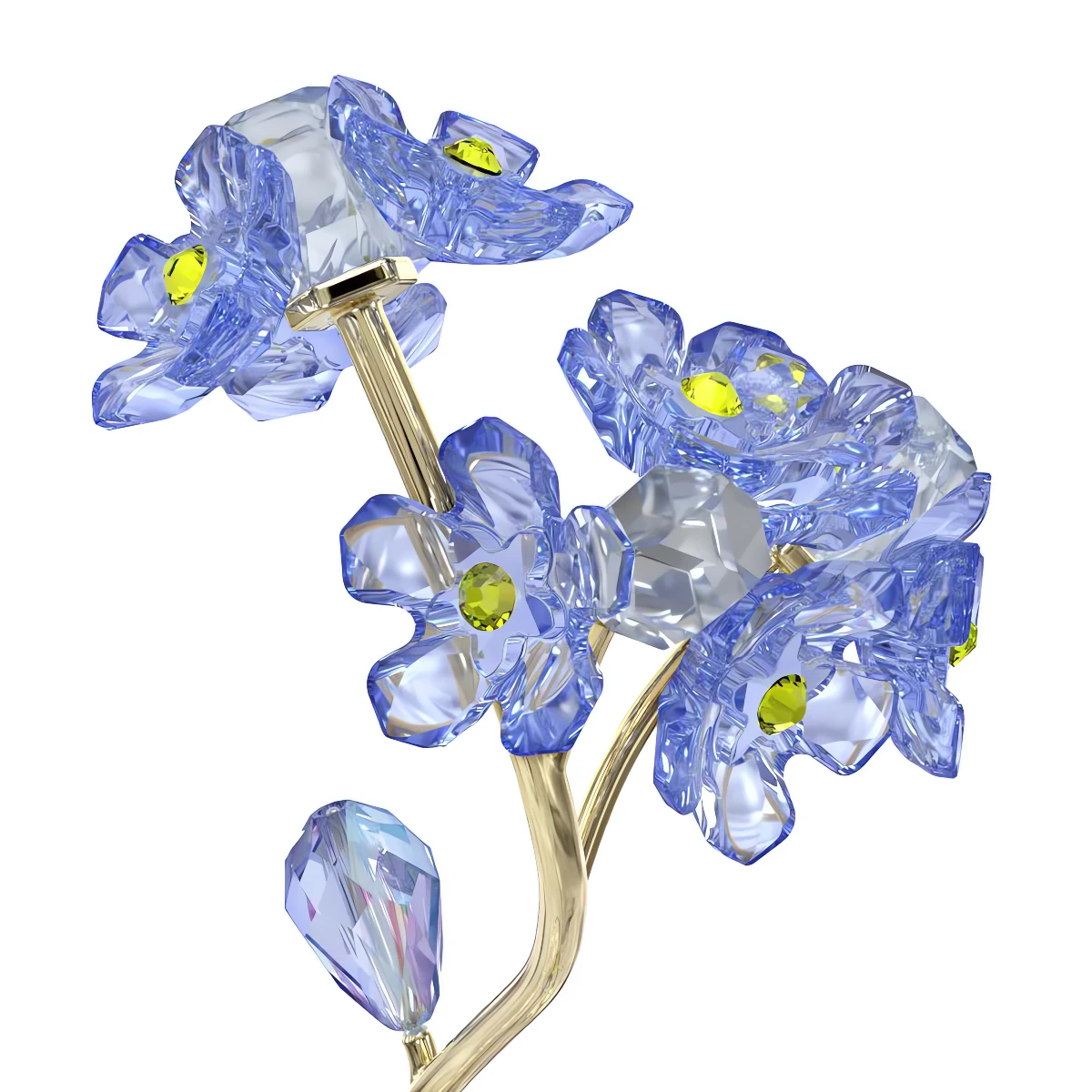 Resim FLORERE:FORGET-ME-NOT