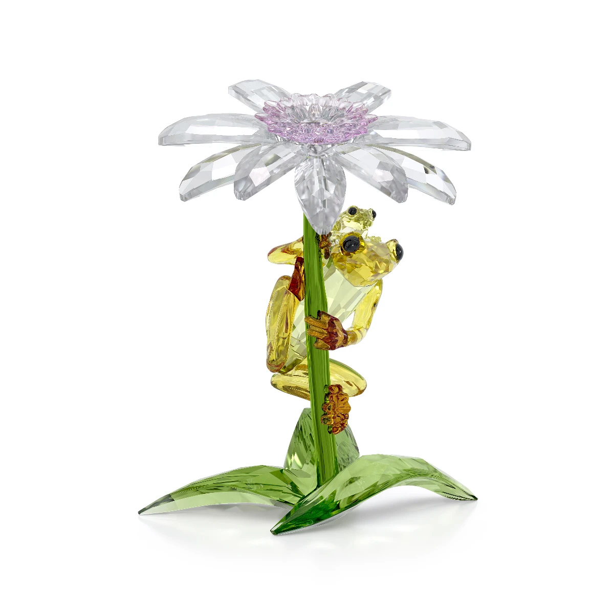 Resim IDYLLIA:FROGS AND FLOWER