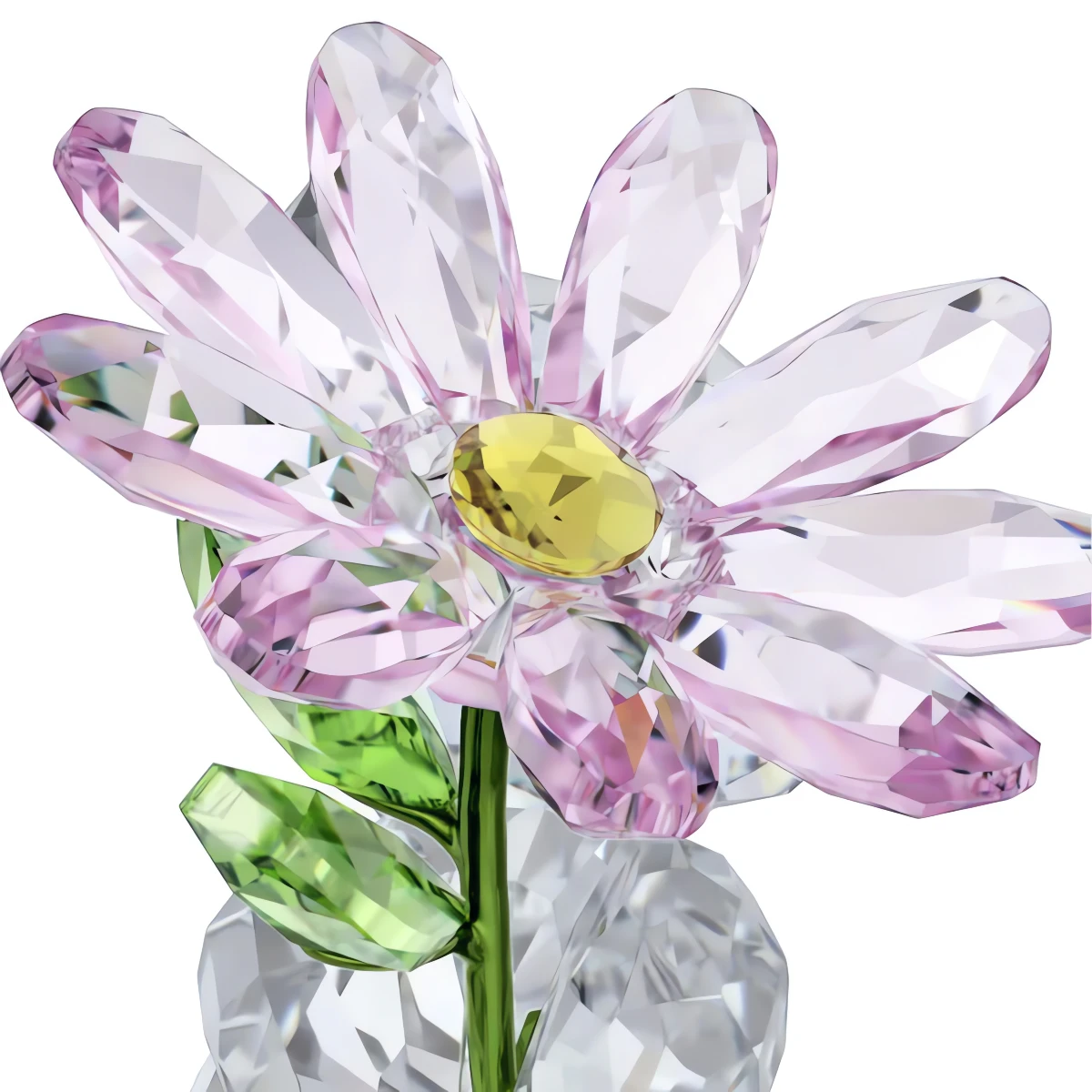 Resim KRIS BEAR:A DAISY FOR YOU