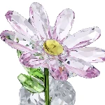 Resim KRIS BEAR:A DAISY FOR YOU
