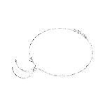 Resim CONSTELLA:NECKLACE BAR WHITE/RHS