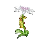 Resim IDYLLIA:FROGS AND FLOWER
