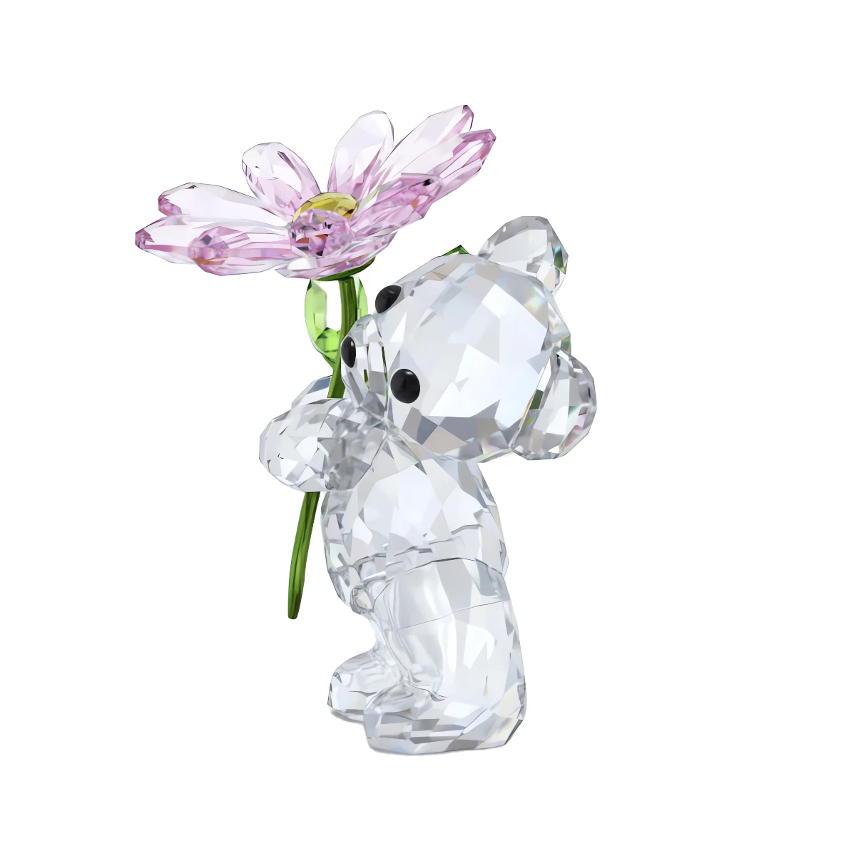 Resim KRIS BEAR:A DAISY FOR YOU