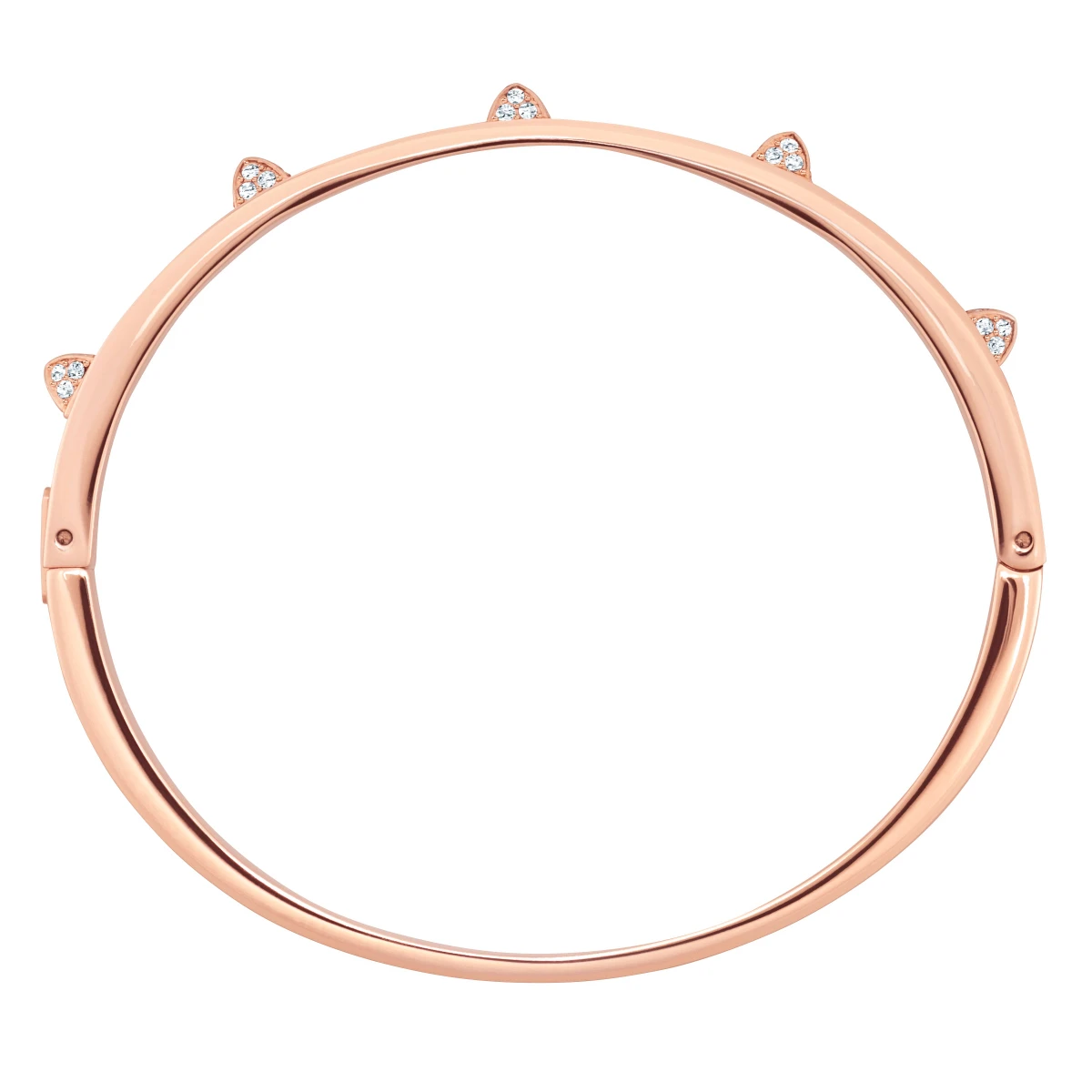 Resim DEXTERA:BANGLE T CRY/PRO M