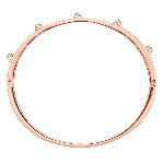 Resim DEXTERA:BANGLE T CRY/PRO M