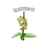Resim IDYLLIA:FROGS AND FLOWER