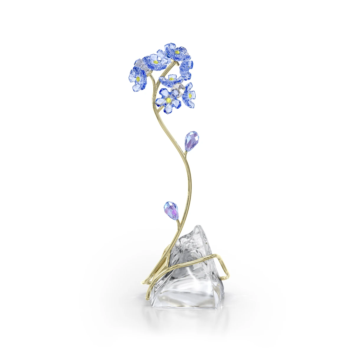 Resim FLORERE:FORGET-ME-NOT