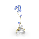 Resim FLORERE:FORGET-ME-NOT