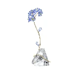 Resim FLORERE:FORGET-ME-NOT