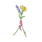 Resim FLORERE:BOUQUET M