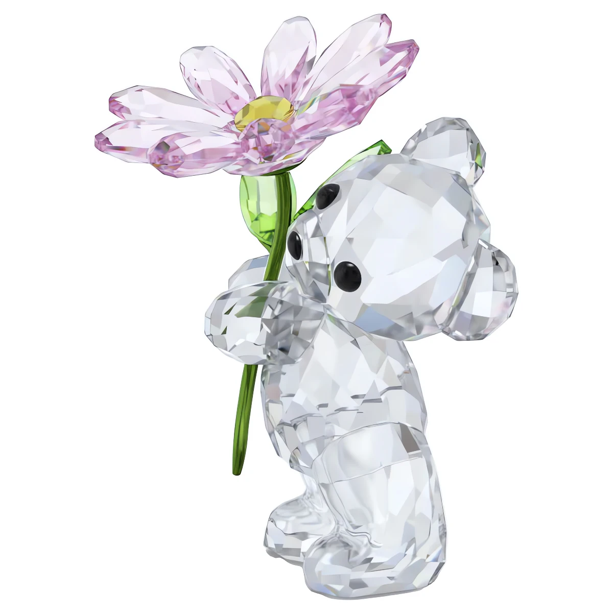 Resim KRIS BEAR:A DAISY FOR YOU
