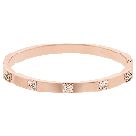 Resim DEXTERA:BANGLE T CRY/PRO M