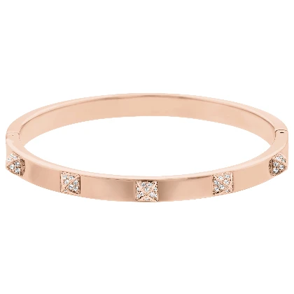Resim DEXTERA:BANGLE T CRY/PRO M