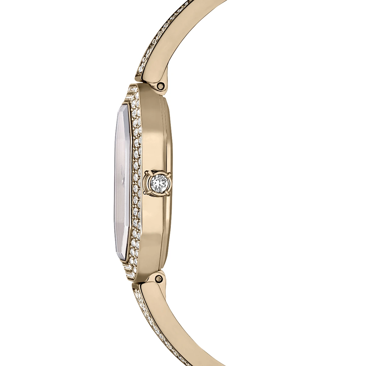 Resim DEXTERA BANGLE:MB GOS//PCG