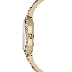 Resim DEXTERA BANGLE:MB GOS//PCG