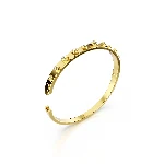Resim NUMINA:BANGLE S CRY/GOS M